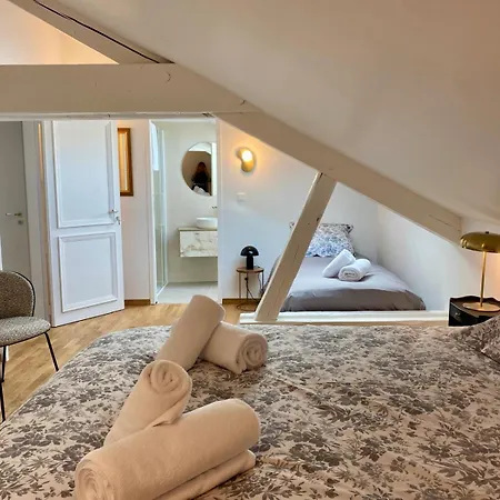 Διαμέρισμα Vosges En Luxueux Duplex Avec Sauna Espace Bien Etre Au Centre D'epinal Épinal