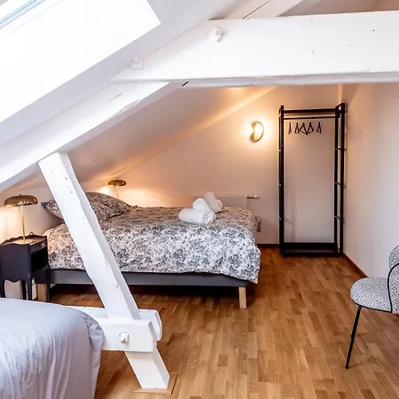 Vosges En Luxueux Duplex Avec Sauna Espace Bien Etre Au Centre D'epinal Appartement Épinal