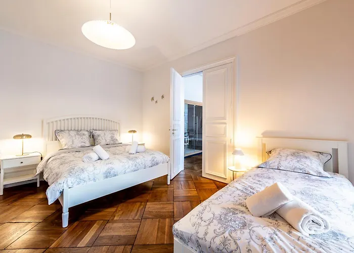 Vosges En Luxueux Duplex Avec Sauna Espace Bien Au Centre D'epinal Appartement *